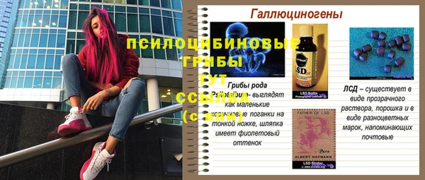 стаф Алексеевка