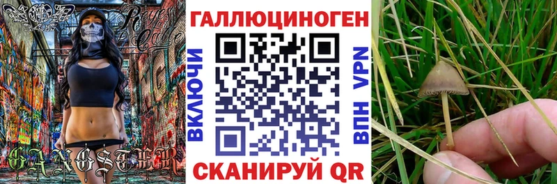 Псилоцибиновые грибы прущие грибы  Таруса 